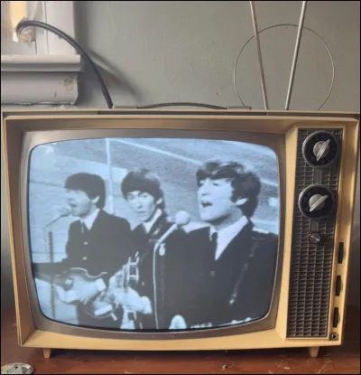 Qui chantait "♫ Ex fan des sixties, où sont les années folles où l'on dansait le rock 'n' roll ?"