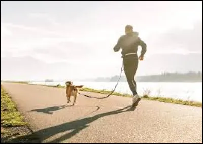 Avec quel animal va-t-on faire du canicross ?
