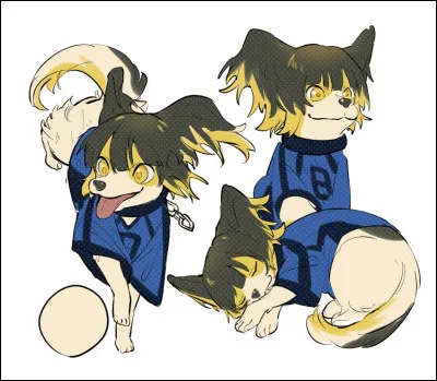 Quels sont sa couleur et son animal préféré ?