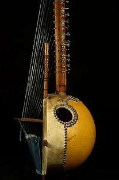 La kora est un instrument originaire du Québec.