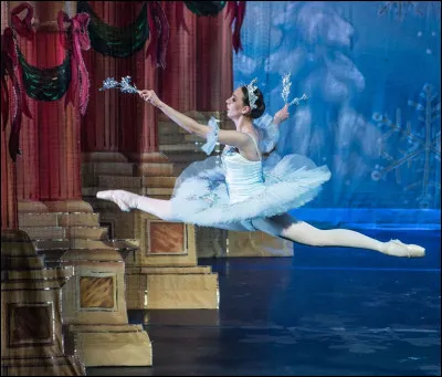 Comment s'appelle ce saut ?