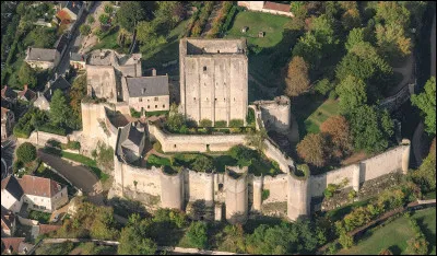 Quel est ce château fort en L, logis royal du Val de Loire, transformé en prison par Louis XI ?