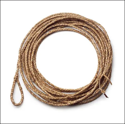 Quelle est cette corde en L comportant un noeud coulant, utilisée par les gardiens de troupeaux pour attraper les animaux ?
