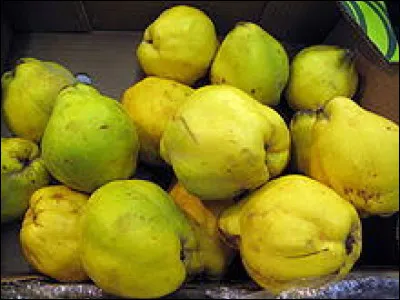 Quelle est la signification du cotignac d'Orléans ? C'est...