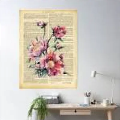 Et enfin, est-ce que tu aimerais des posters dans ta chambre ?