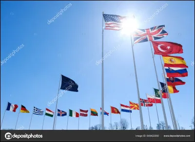 Choisis le drapeau dans lequel il y a ta couleur. (S'il y en a deux tu choisis entre l'un des deux, et s'il n'y en a aucun tu choisis au hasard)