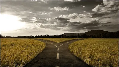 Tu as le choix : te sauver toi-m&ecirc;me ou quelqu�un d�autre. Qui choisis-tu ?