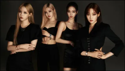 Si tu &eacute;tais dans un groupe, tu serais...