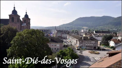 Quel nom en D donne-t-on aux habitants de Saint-Dié-des-Vosges ?