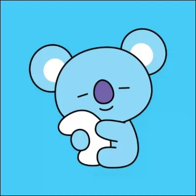 Quel est le BT21 de RM ?