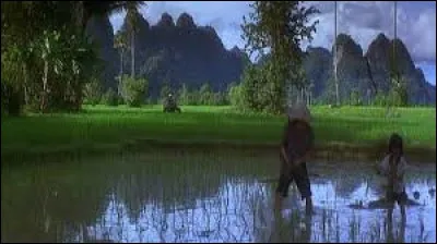 "Entre ciel et terre", dont l'action se déroule pendant la guerre du Vietnam, est un film réalisé par ...