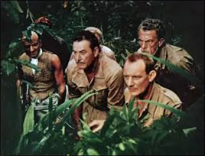 Complétez le titre français de ce film de John Huston, avec Trevor Howard, Juliette Gréco et Errol Flynn, dans lequel le héros, Morel, veut sauver les éléphants : " ... du ciel"