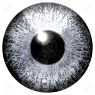 As-tu les yeux gris ?