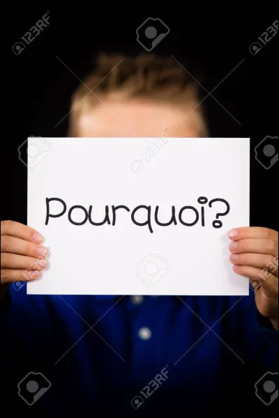 Pourquoi as-tu fais ce test ?