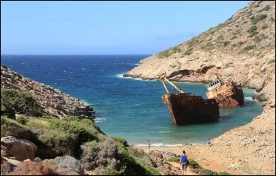Tu es piégé sur une île déserte avec un groupe de personnes, quel est ton rôle dans cette situation ?