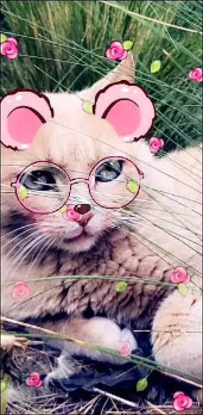 Me reconnaîtras-tu sous toutes ces décorations  ?