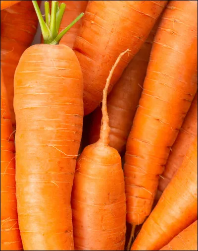 Une carotte c'est un...