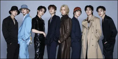 Avec les r&eacute;ponses que tu poss&egrave;des, peux-tu rep&eacute;rer dans quel ordre ils sont positionn&eacute;s ? (Sans Woojin, et en partant de la gauche vers la droite.)