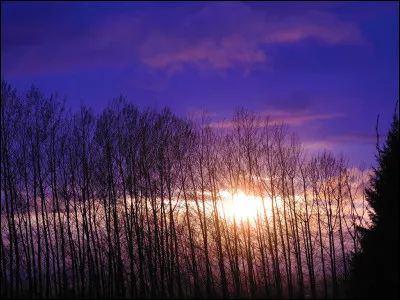 ''Great'', maintenant !