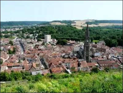 Quelle est cette petite ville de 3 000 habitants, traversée par la Marne et dont le centre conserve des maisons anciennes des XVII-XVIIIe siècles ?