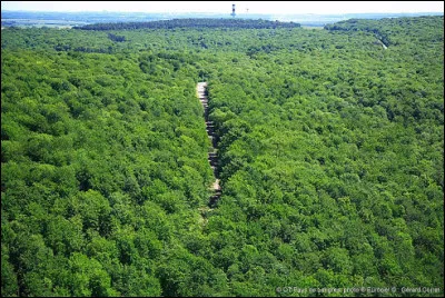 À quelle altitude situez-vous le point culminant de la Haute-Marne ?