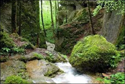 Quelle est cette rivière, longue au total de 93 km, qui nait dans le sud du plateau de Langres, à Aprey, traverse les gorges du même nom et coule vers le sud pour rejoindre la Saône ?