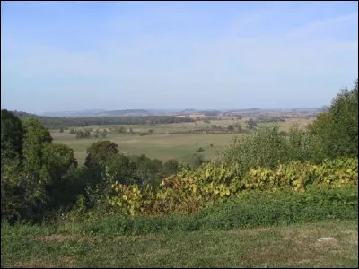 Quelle est cette région historique, ancien comté un temps partagé entre le comté de Champagne et le duché de Lorraine, située sur l'est du département, entre le plateau de Langres et le Barrois ?