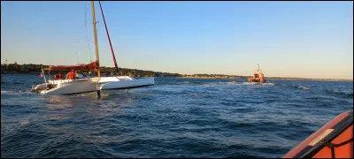 Planant sur l'-----, le rapace, porté par l'-----, se dirigeait vers son -----. Depuis longtemps, l'Irlande s'appelle "----", c'est de notre -----.

Trouvez les "R" !