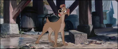 Parmi ces trois plantes, deux ont un surnom rappelant un animal, laquelle est exempte de bestiole ?