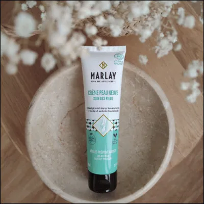 L'anagramme modifie l'ordre des lettres dans un mot, un n'apprécie pas cette méthode, lequel ?