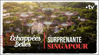SIngapour est une cité-État insulaire.
