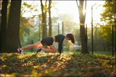 Quelle activité vous apporte le plus de satisfaction ?