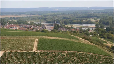 Quel est ce village situ&eacute; sur la rive droite de la Loire, dans une r&eacute;gion viticole qui produit un vin blanc renomm&eacute; ?