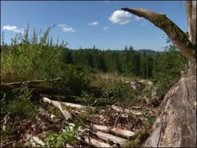 &Agrave; quelle altitude situez-vous le point culminant du d&eacute;partement ?