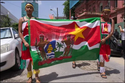 Quel est le plus petit pays d'Amérique du Sud ?