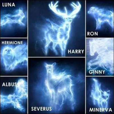 Quel patronus aimes-tu ?