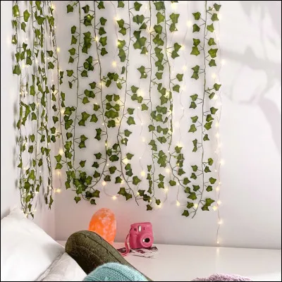 Aimerais-tu avoir du lierre dans ta chambre ?