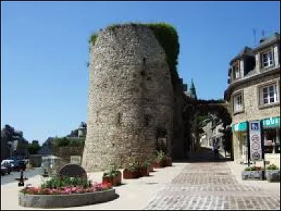 Quelle est cette petite ville de 3 500 habitants de l'ouest du département, bordée par la forêt d'Andaine et dominée par les ruines de son château médiéval ?