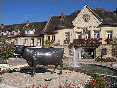 Quelle est cette petite ville de 3 000 habitants, située dans le nord-est du département, en bordure du pays d'Auge ?