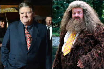 Qui est cet acteur ?