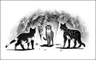 Situation 3 : tu es en patrouille, frontali&egrave;re, quand tu aper&ccedil;ois des chasseurs du Clan du Vent, en train de pister une proie qui est sur le territoire du Clan du Tonnerre, que fais-tu ?