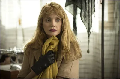 Quelle est cette comédie policière avec Dombasle ?