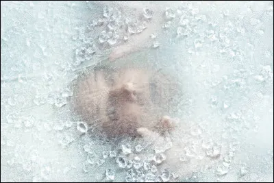 Quelle est la valeur du zéro absolu en degrés Celsius ?