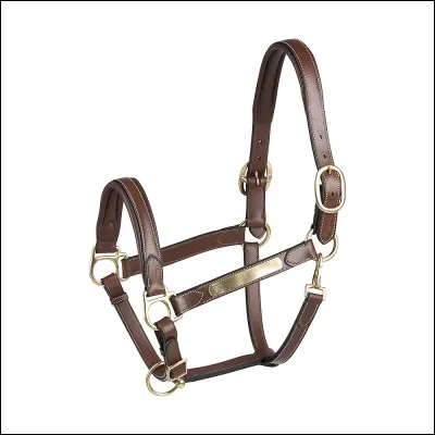 Comment met-on un licol à un cheval ?