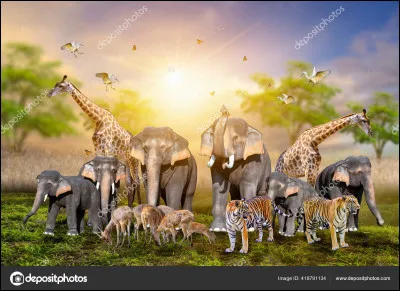 Le cheval fait partie de quelle famille ?