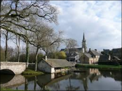 Aujourd'hui nous commençons notre promenade dans les Pays-de-la-Loire, à Armaillé. Village de l'arrondissement de Segré, traversé par la Verzée, il se situe dans le département ...