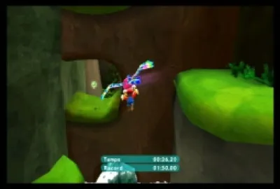 De quelle couleur est le Jacoco le plus rapide dans la course de l'Araplane Tropical ?