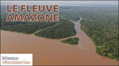 Dans quel pays le fleuve Amazone prend-il sa source ?