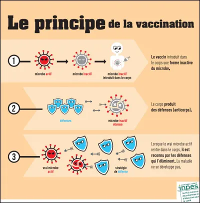 Quel est le principe de la vaccination ?