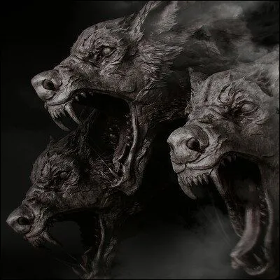 Quelles parties de son corps sont empoisonnées ?